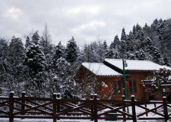 过年跑去张家界玩了,这是第一次去如此美丽的景点游玩,回忆深刻,也是从这次后喜欢上了旅游